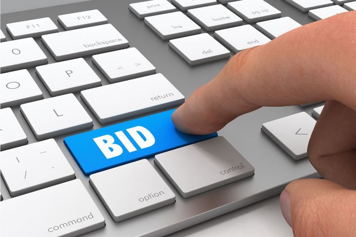 Bidding Strategy Optimization