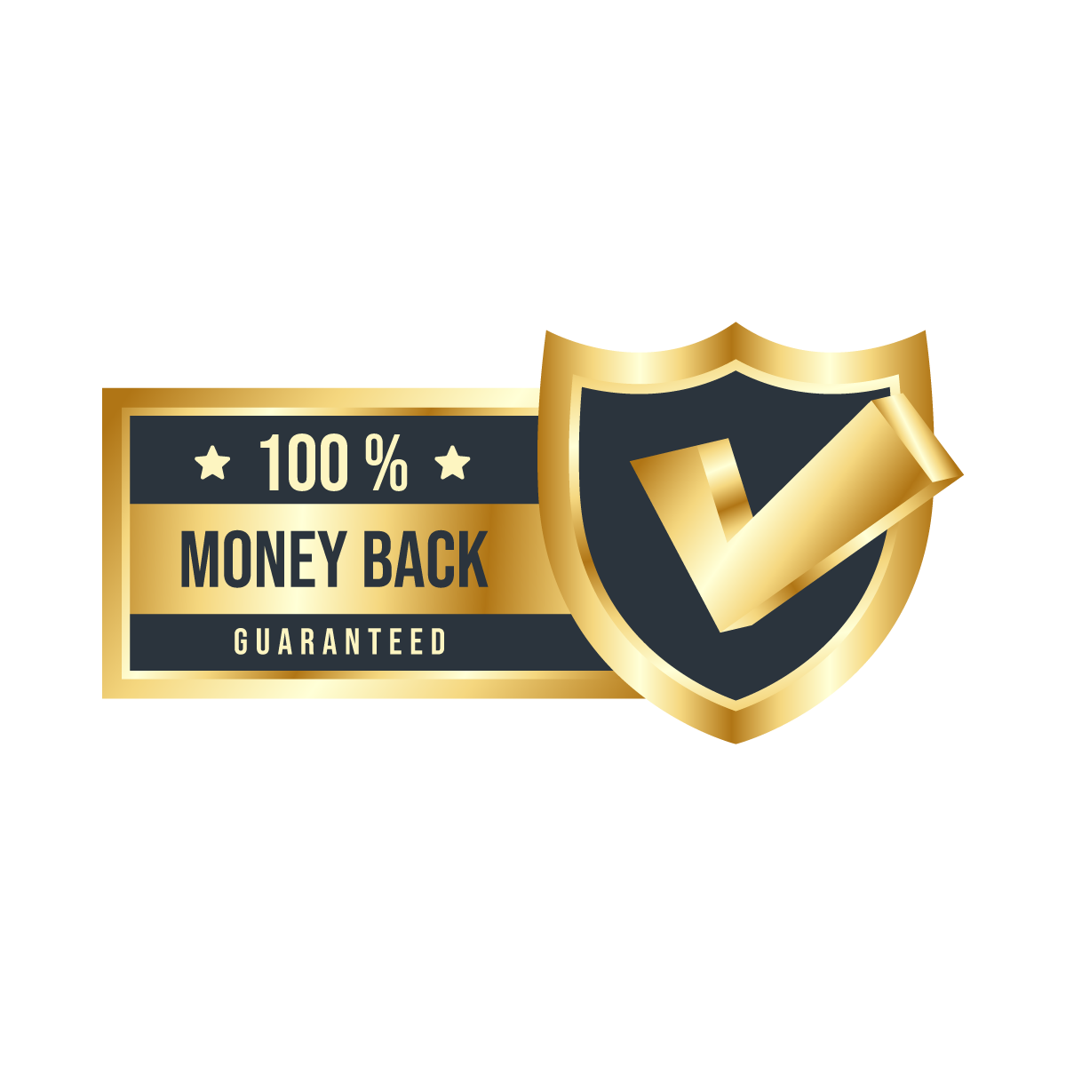 Backlink Services